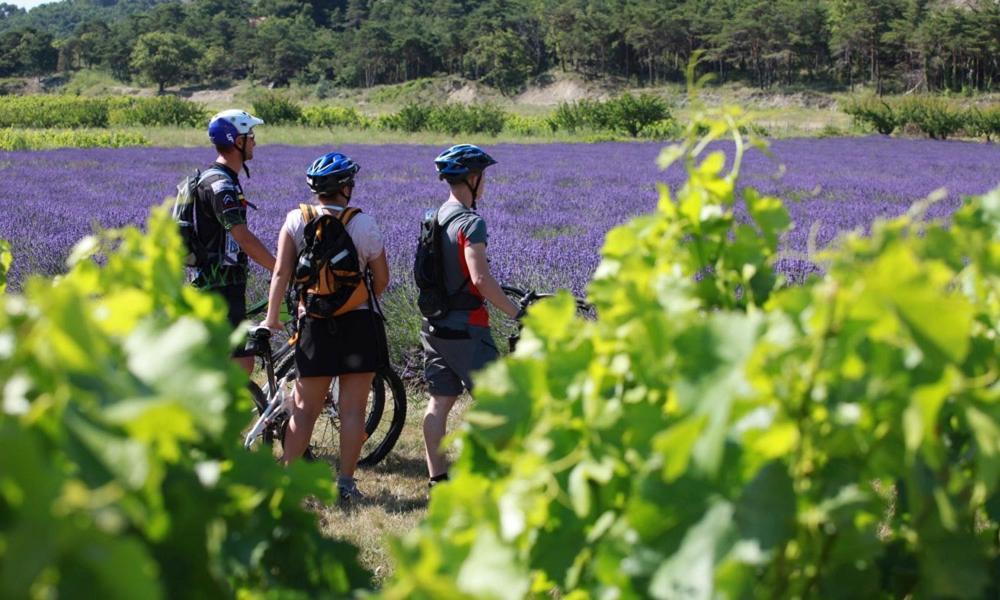 Lodges en Provence&Spa Richerenches Buitenkant foto