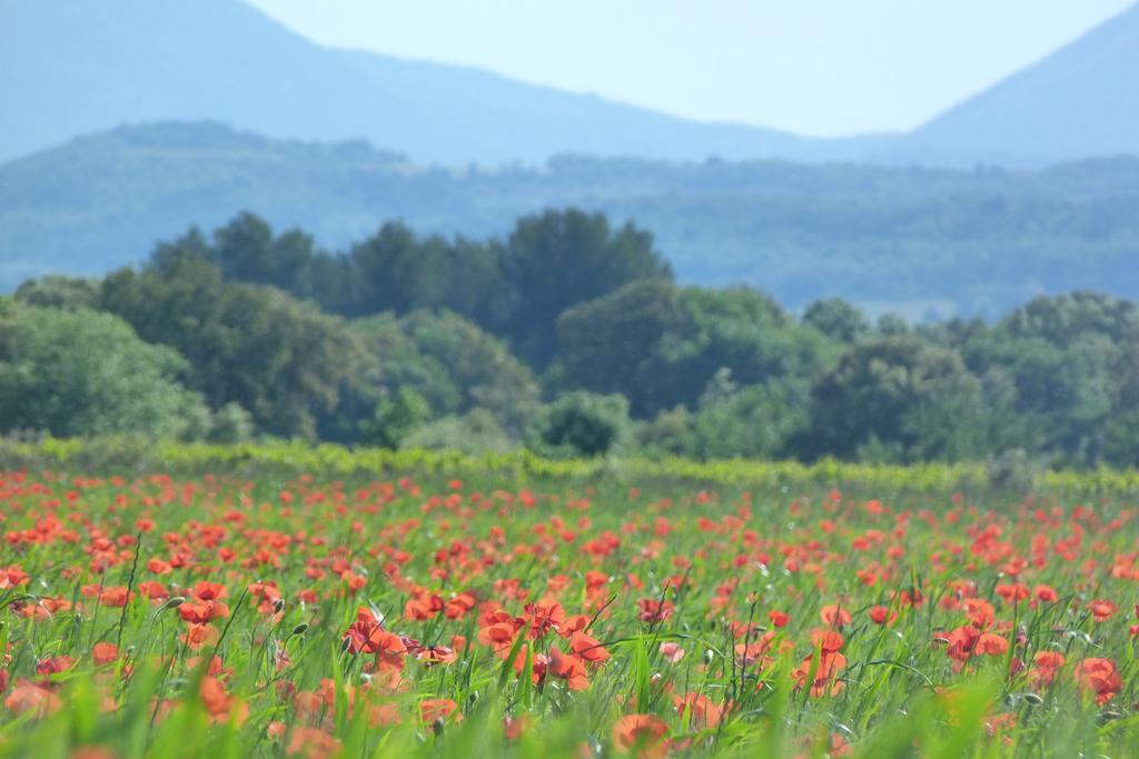 Lodges en Provence&Spa Richerenches Buitenkant foto